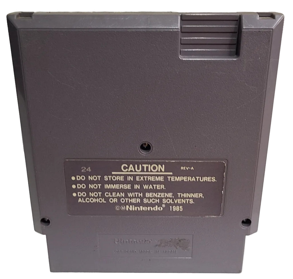 Skate or DIe Nintendo NES