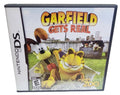 Garfield Gets Real Nintendo DS