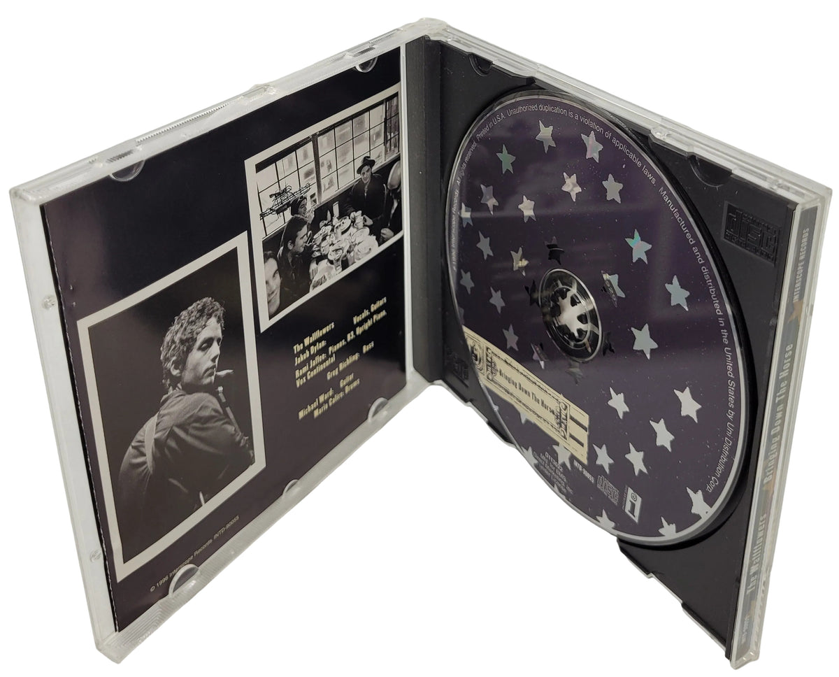 The Wallflowers bringing Down The Horse CD